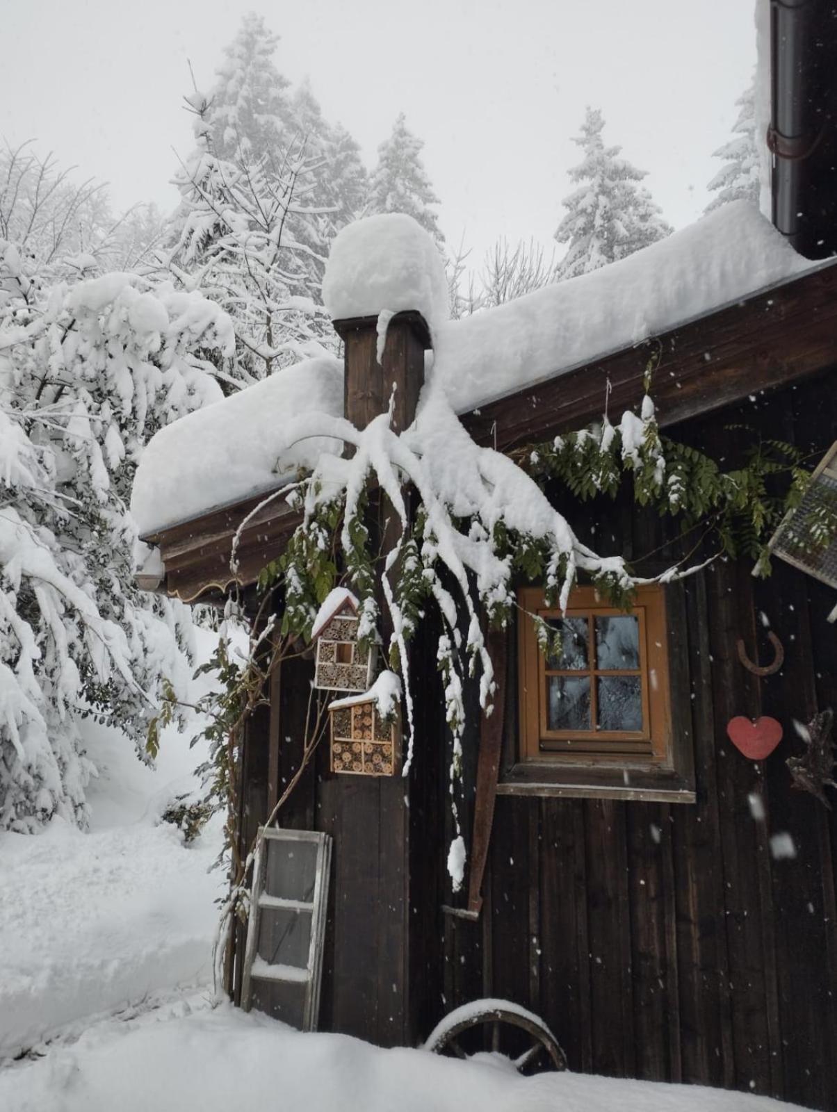 Binderhaeusl Villa Thiersee Exteriör bild
